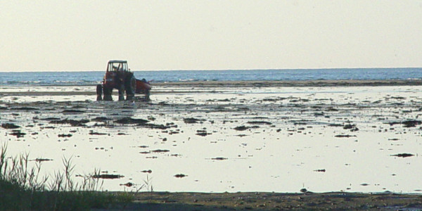 slide3.jpg