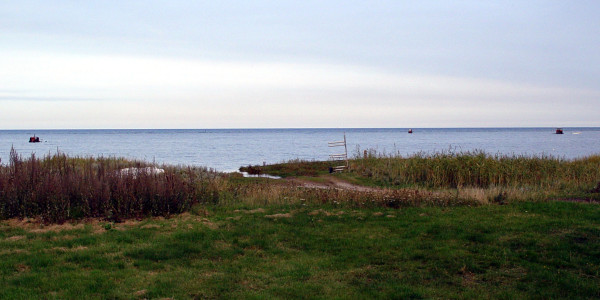 slide4.jpg